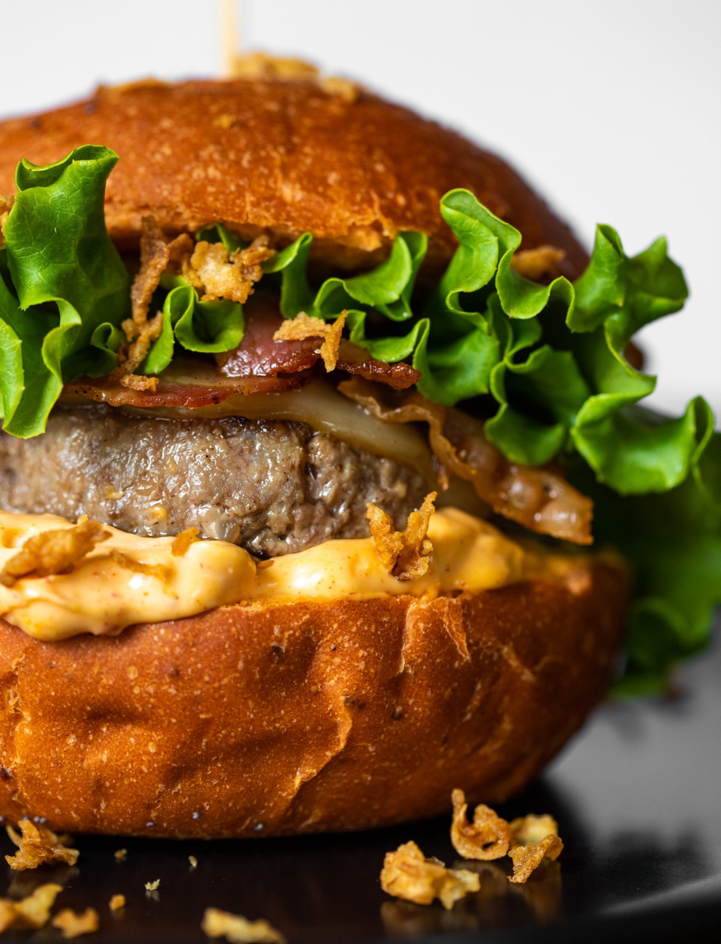 Gourmet burger, close-up